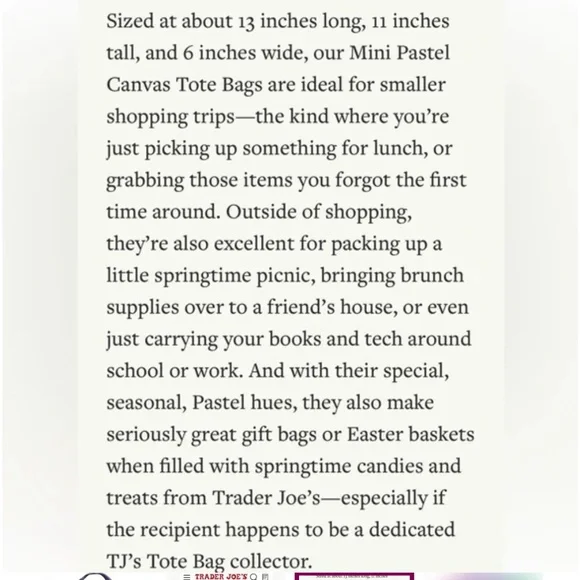 2026 Trader Joe’s Mini Tote - Purple White - Picture 3 of 9